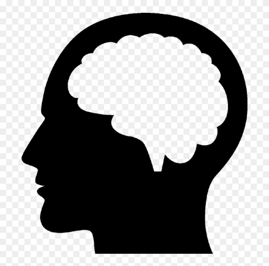 Human Brain Png Image - Human Brain Png Clipart