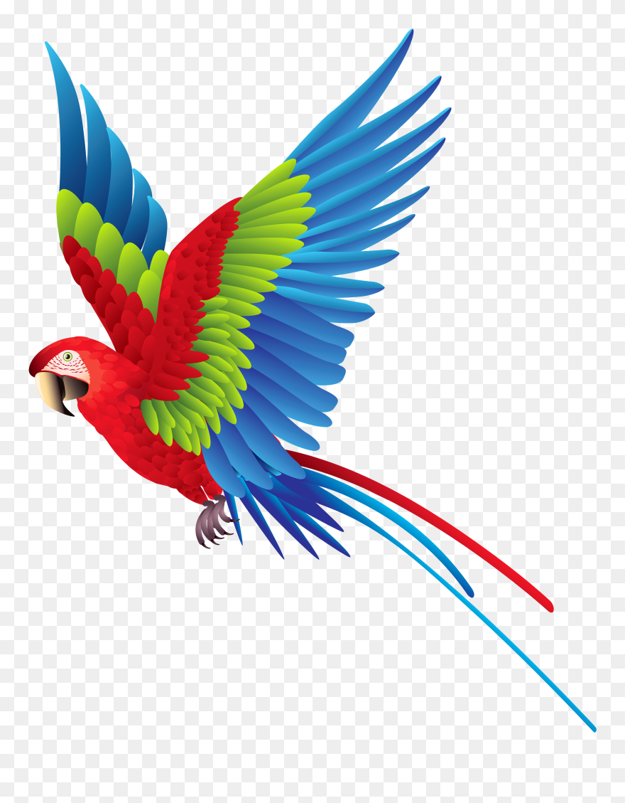 Feather Clipart Clear Background - Flying Parrot Clipart - Png Download