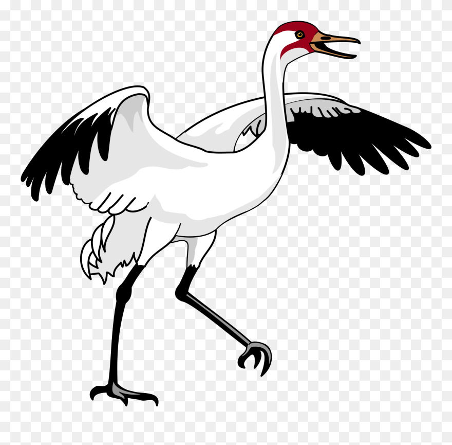 Swan 3 Png Images - Crane Bird Clipart Transparent Png