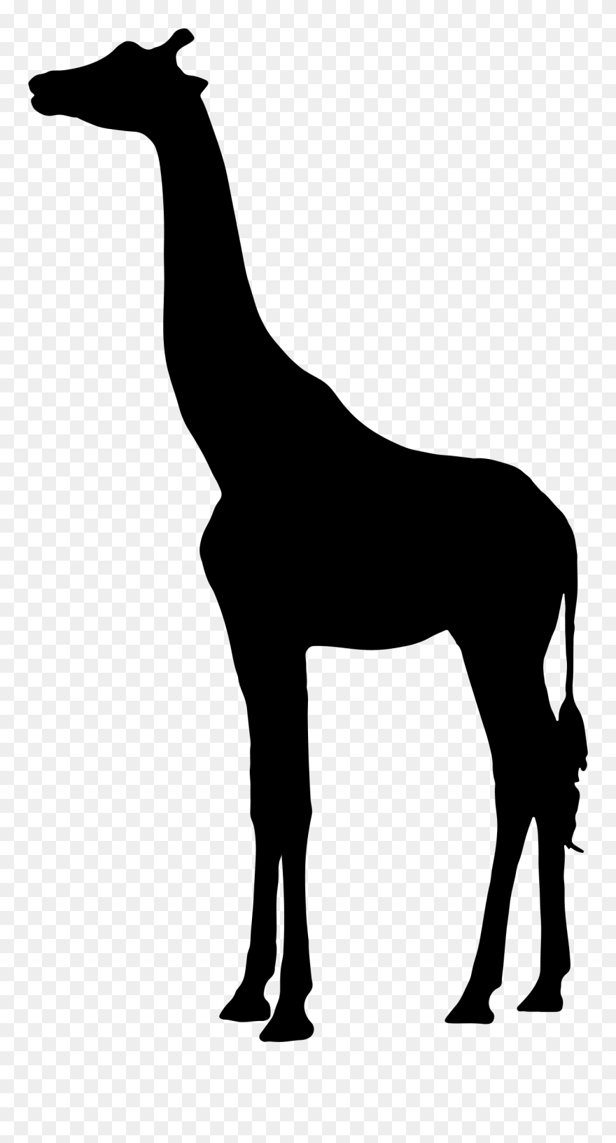 Clipart - Giraffe Silhouette - Png Download