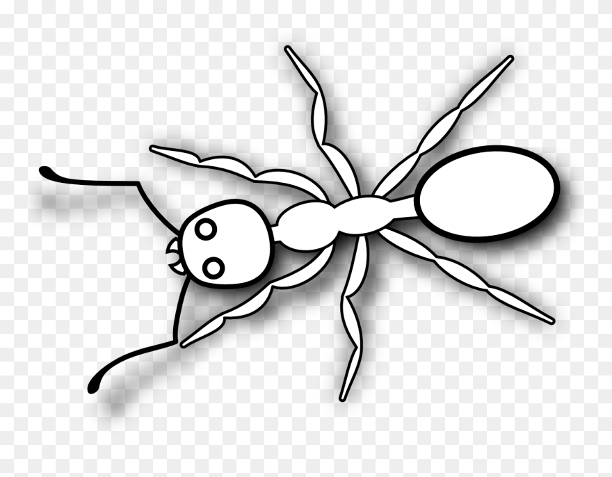 Ant 3 Black White Line Art Svg - Printable Ant Clipart Black And White - Png Download