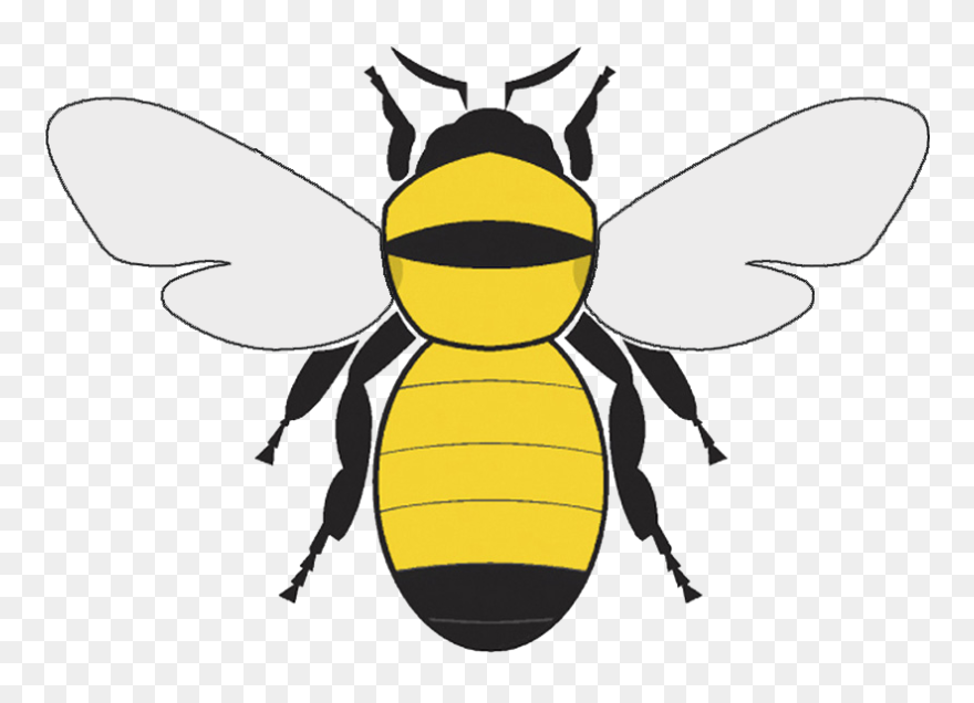 Hive - Softext - Macedonia National Spelling Bee Clipart