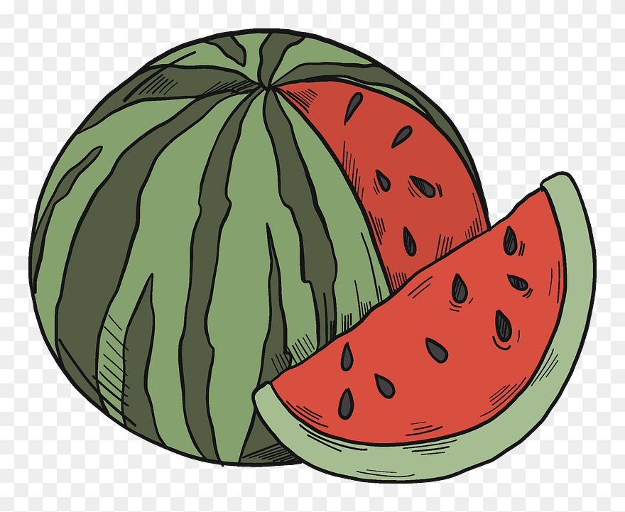 Watermelon Clipart