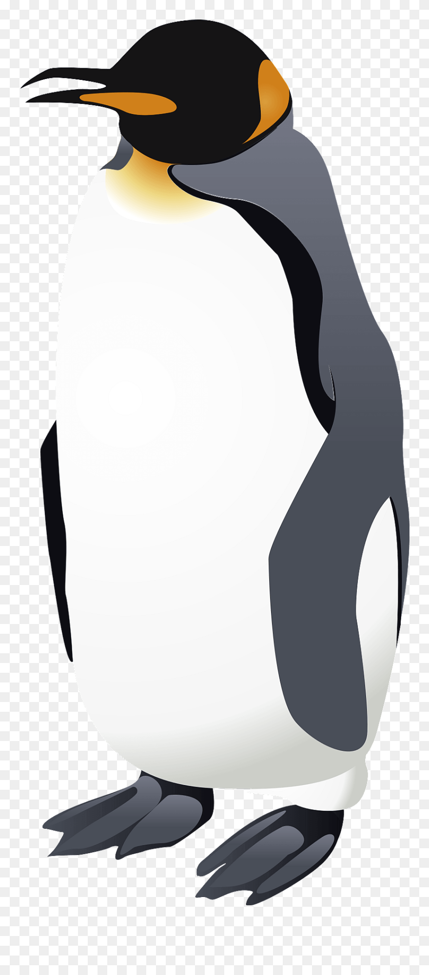 Emperor Penguin Clipart