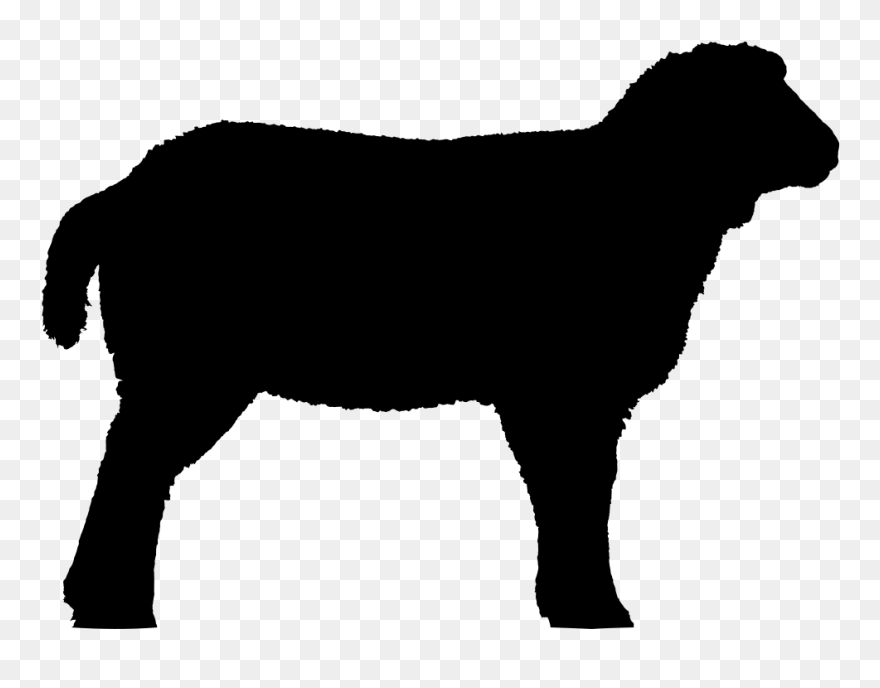 Clip Art Vector Graphics Shorthorn Livestock Show Calf - Sheep Silhouette Clip Art - Png Download