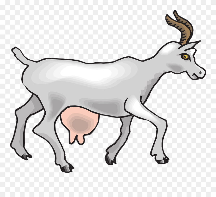 Collection Of Free Goat Drawing Side View Download - Goat Ram Cartoon Side View Clipart
