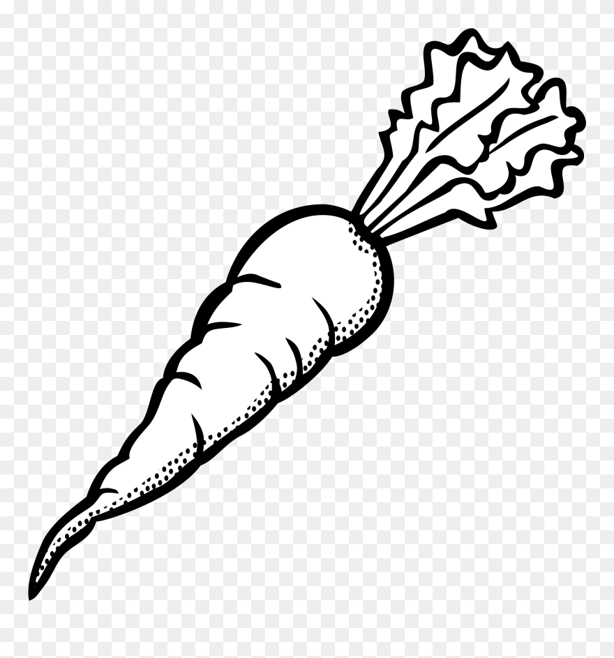Clipart Carrot Outline Images - Carrot Black And White Clipart - Png Download