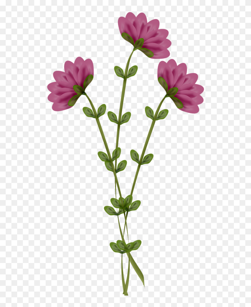 Mlc What May Be Flower59 - Flower Stick Png Clipart