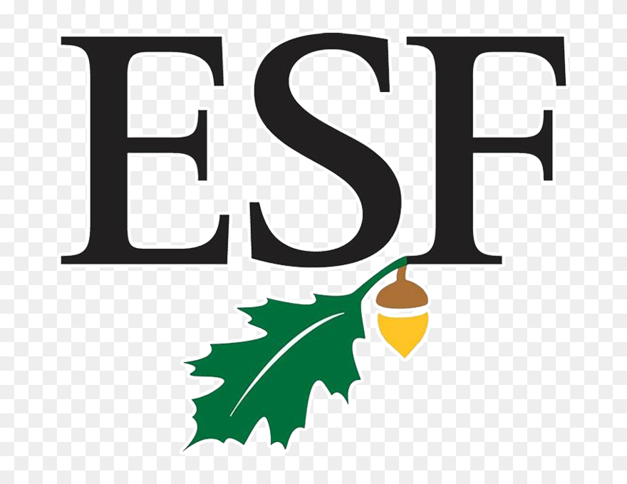 Suny College Of Environmental Science & Forestry Clipart