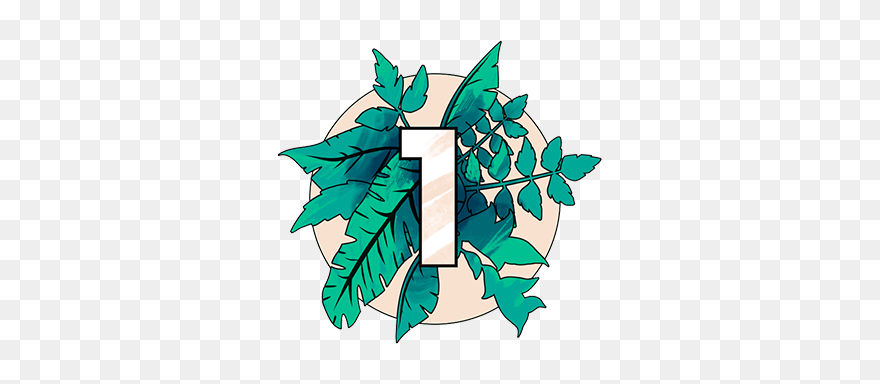 Illustration Clipart