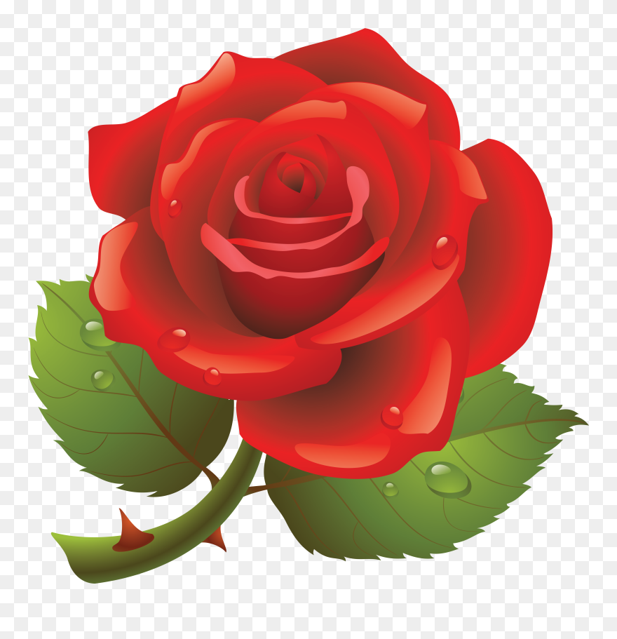 Rose Png - Happy Rose Day Pic Download Clipart