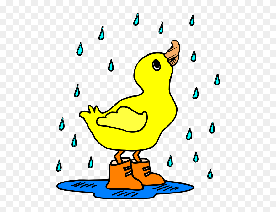 Rain Showers Clip Art Borders Cliparts - Duck In The Rain Clipart - Png Download
