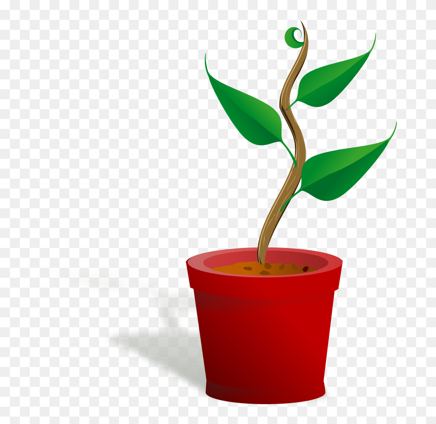 Pot Plant Clipart Bean Plant - Getting To Know Plants - Png Download