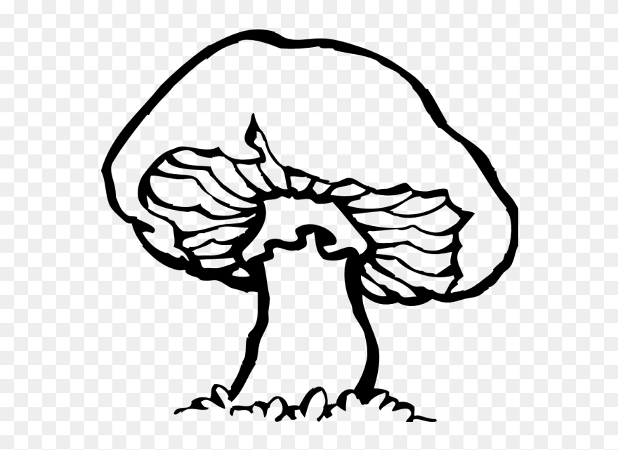 Mushroom Clipart Outline - Mushrooms Black And White - Png Download