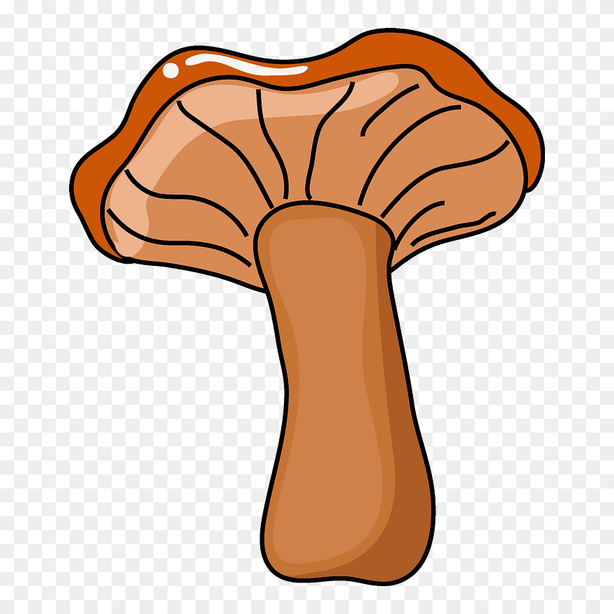 Mushroom Clipart - Edible Mushroom - Png Download
