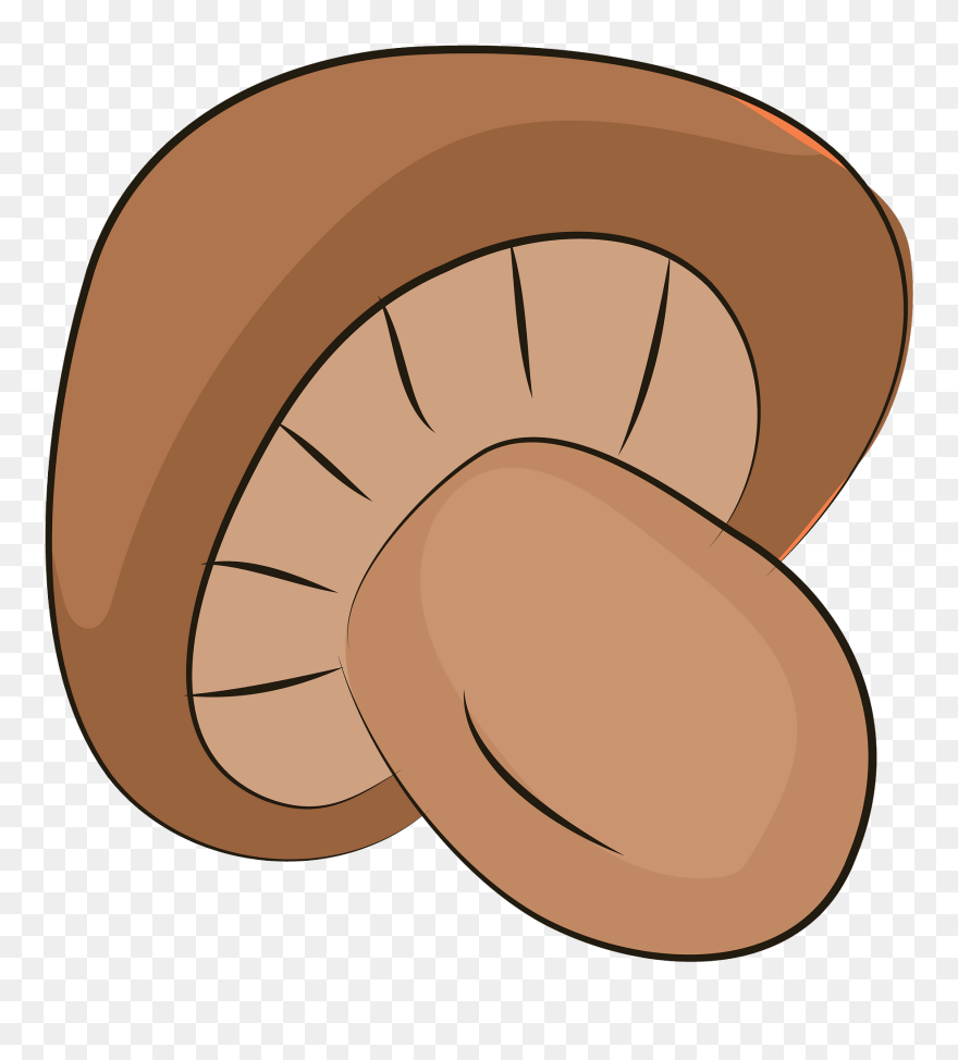 Clip Art - Png Download