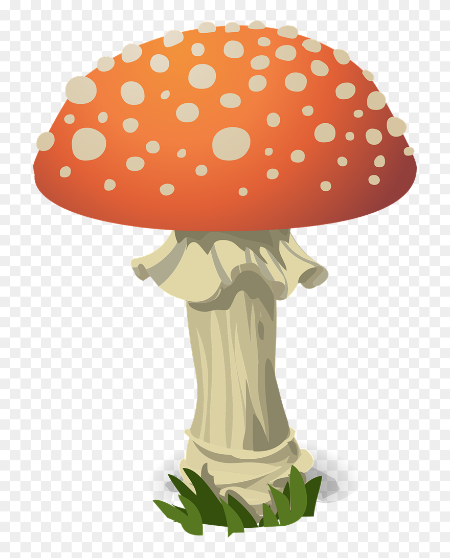 Mushroom Free To Use Clip Art - Mushroom Puns - Png Download