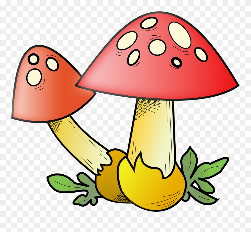 Romanov Mushroom Clipart - Fungi Cartoon - Png Download
