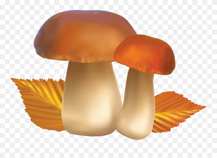 Free Png Mushroom Png Images Transparent - Mushrooms Clipart Transparent Background