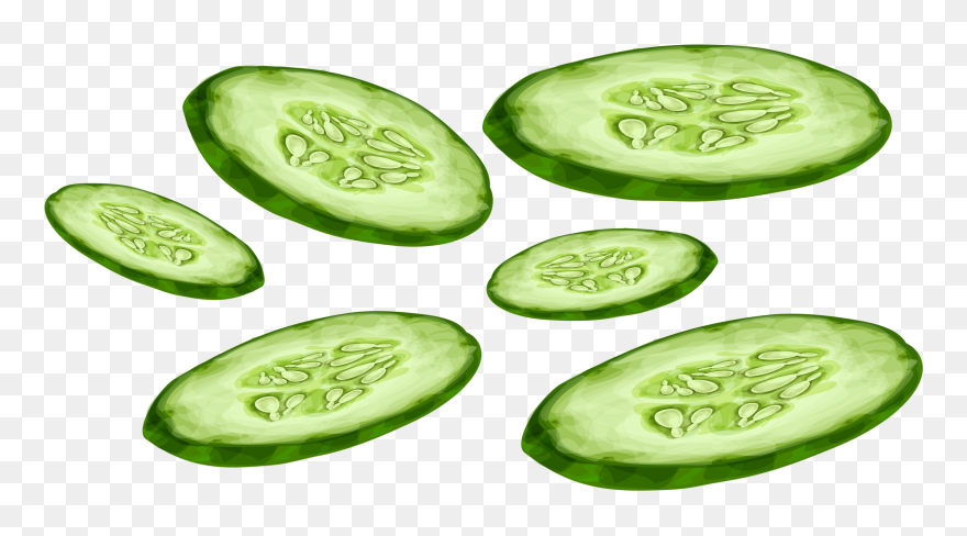 Cucumber Clipart