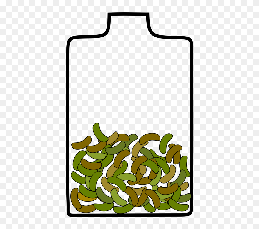 Grass,leaf,area - Bean Clipart
