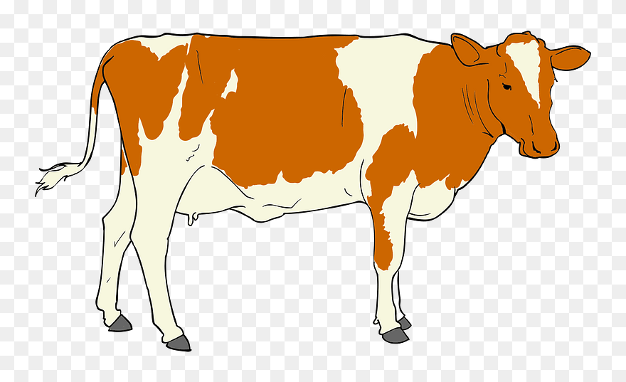 Cow Clipart - Png Download