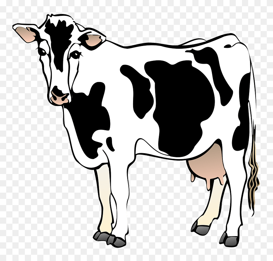 Cow Clipart - Png Download