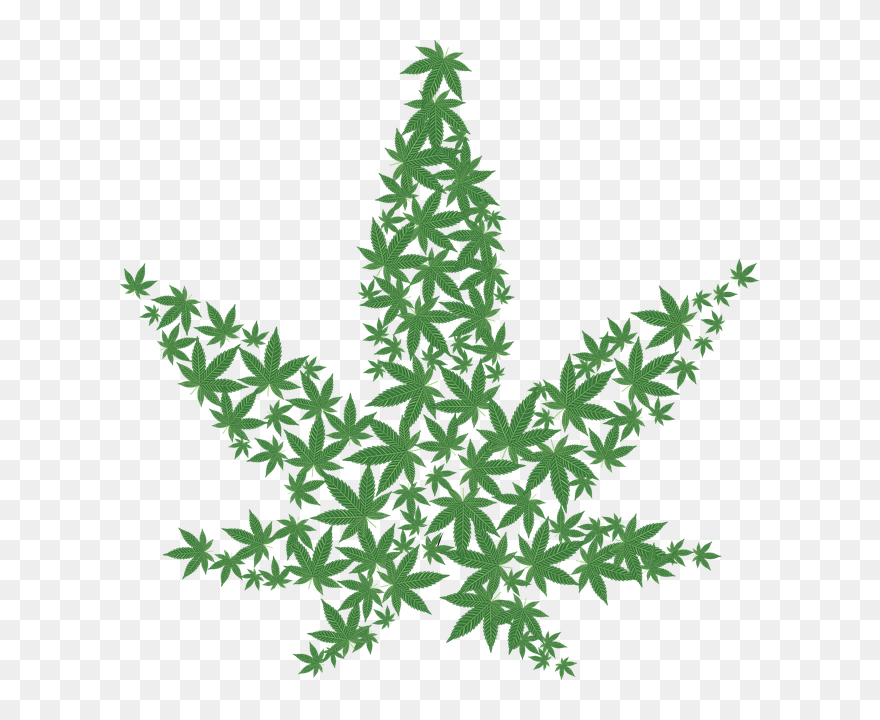 Transparent Marijuana Plant Clipart - Pot Leaf - Png Download