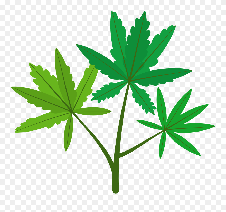 Clip Art - Png Download