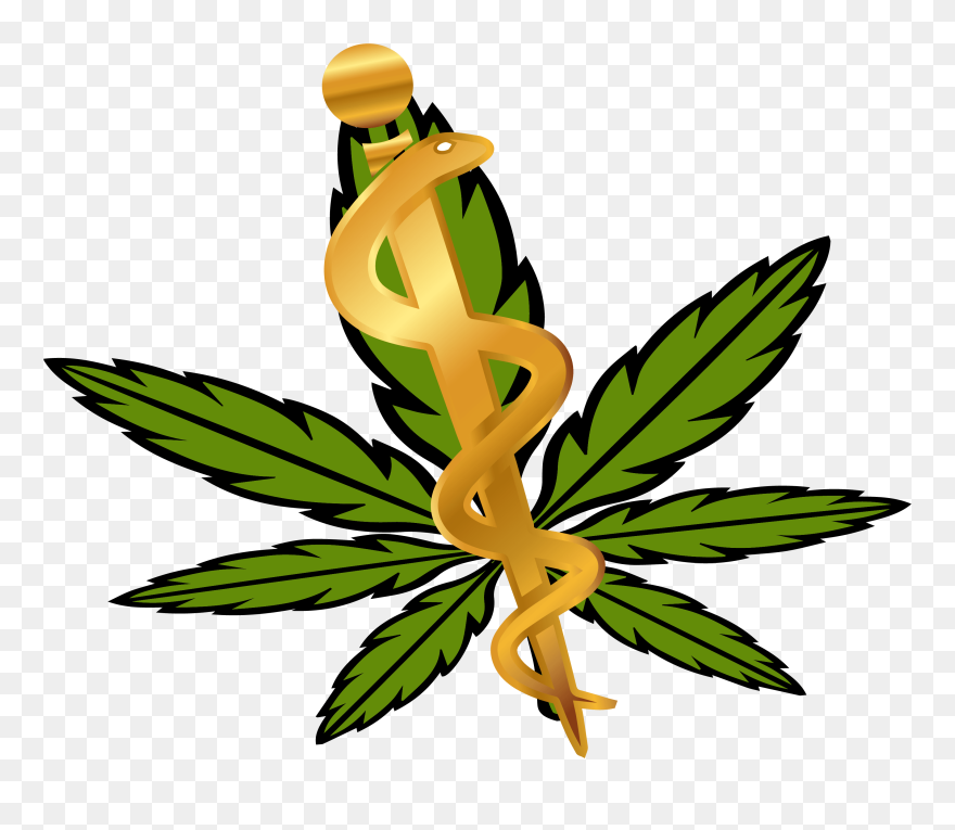 Illustration Clipart