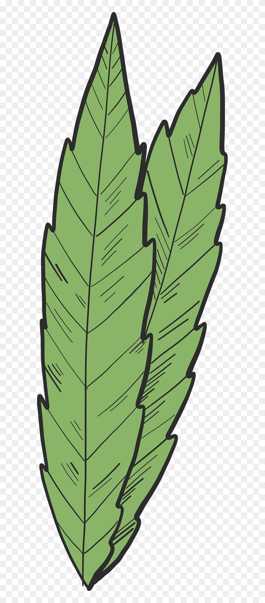 Clip Art - Png Download