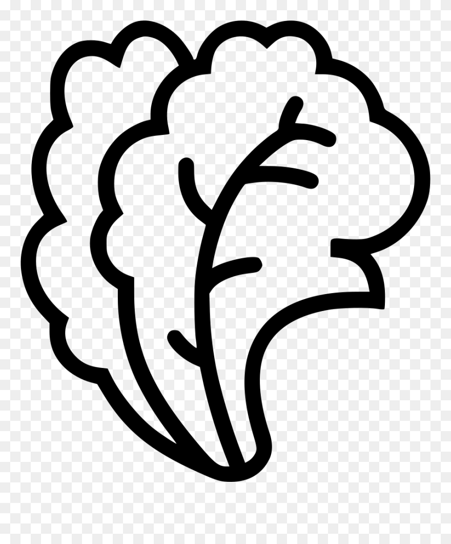 Lettuce Clipart Outline - Salad Clipart Black And White - Png Download
