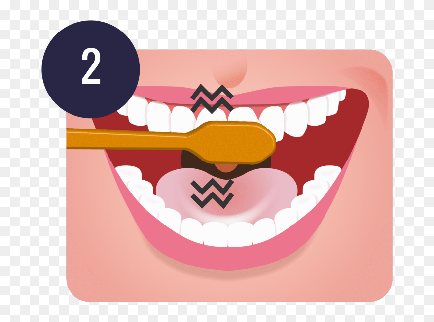 Free Download Brushing Teeth Png Clipart Tooth Brushing - Step To Brush Teeth Transparent Png