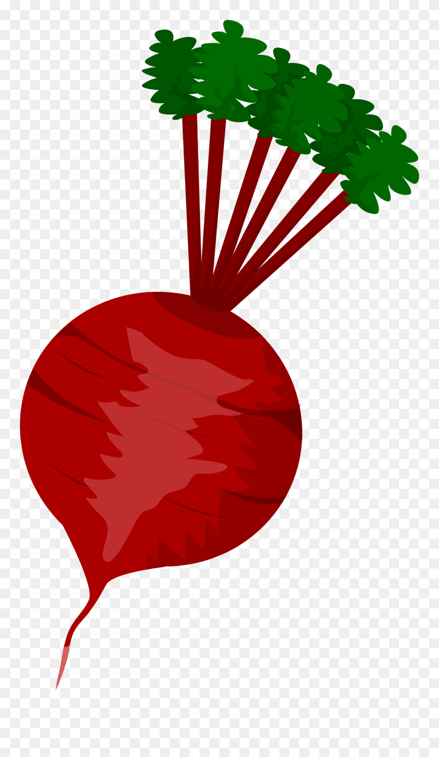 Clipart Beet - Beet Clipart - Png Download