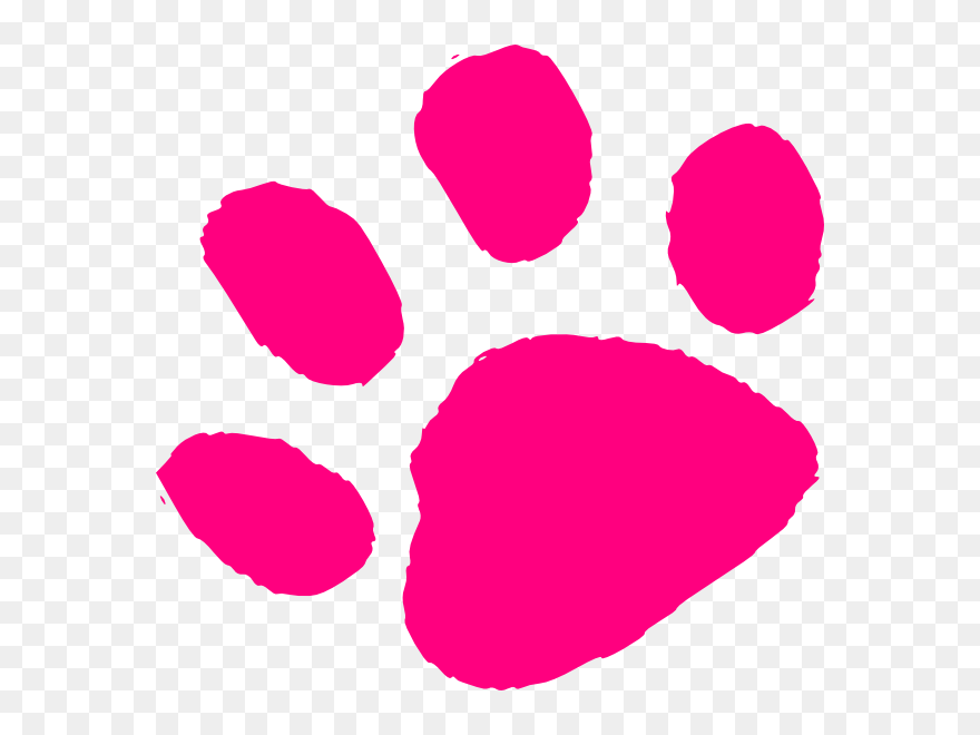 Pink Paw Print Png Clipart