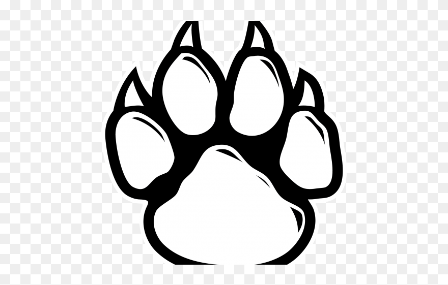 Paw Print Clipart - Tiger Paw Print Drawing - Png Download