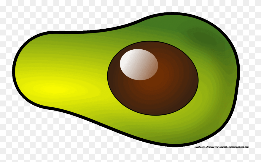 Clipart Transparent Great Avocado Fruit - Single Fruits And Vegetable Clipart - Png Download