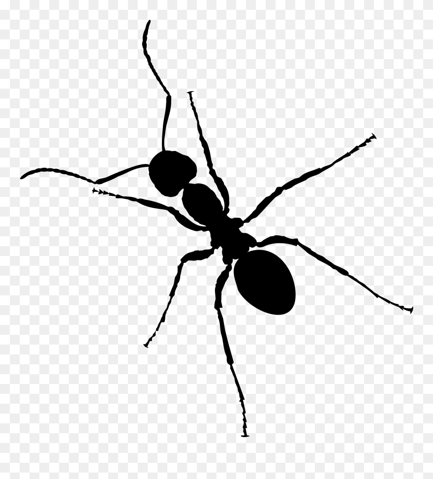 Clipart Ant - Black Ant Png Transparent Png