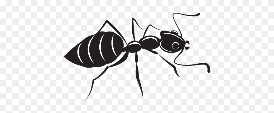 Ant Silhouette Clip Art - Ant Silhouette Vector - Png Download