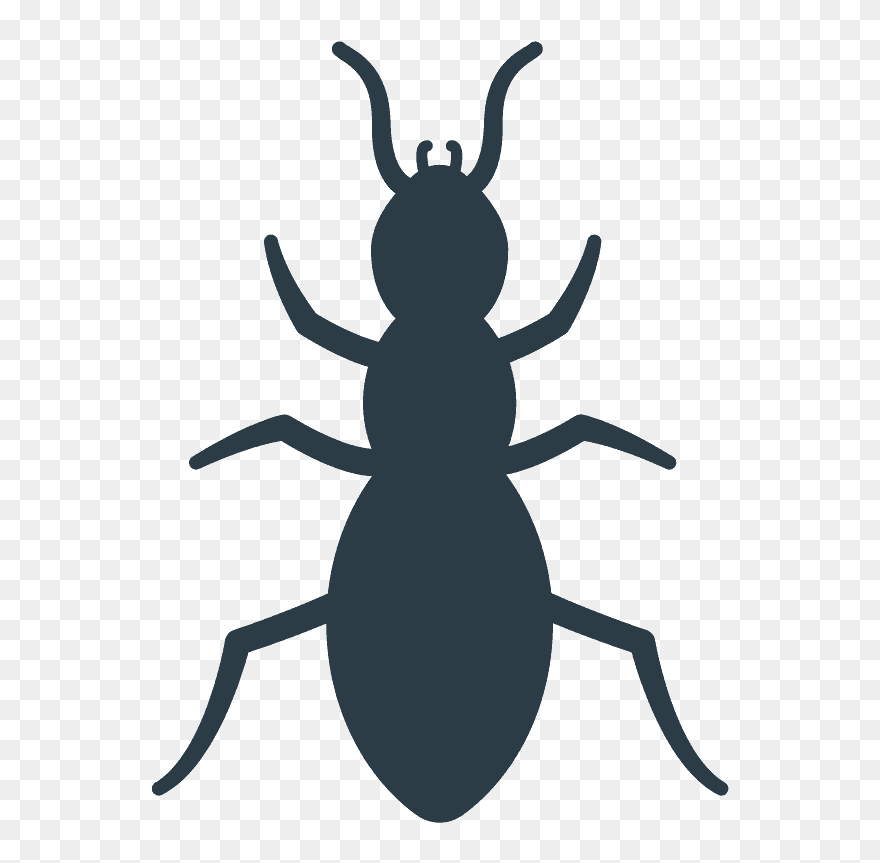 Ant Emoji Clipart - Эмодзи Жук - Png Download