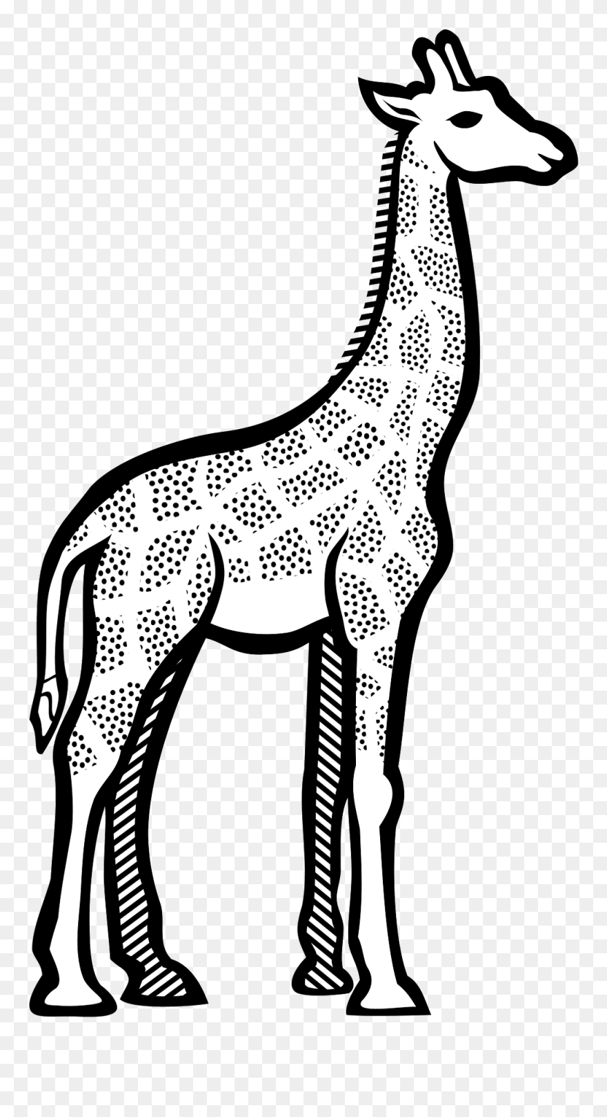 Giraffe In Art Drawing Clipart