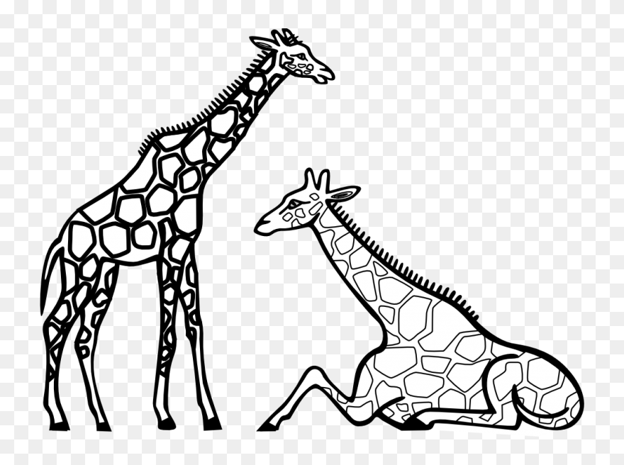 Black And White Panda - Giraffes Black And White Clipart