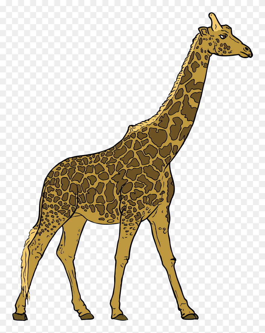 Giraffe Svg Clip Arts - Herbivore Animals Clipart - Png Download