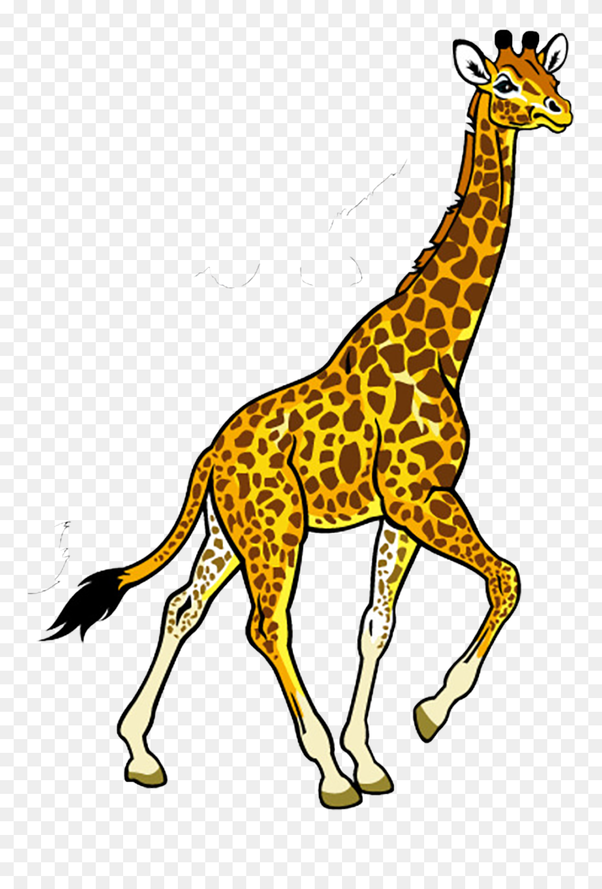 Clipart Giraffe Jungle, Clipart Giraffe Jungle Transparent - Nairobi National Park - Png Download