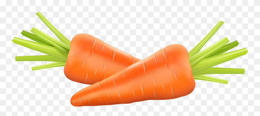 Carrot Photography Euclidean Vector Clip Art - Carrot Clipart Png Transparent Png