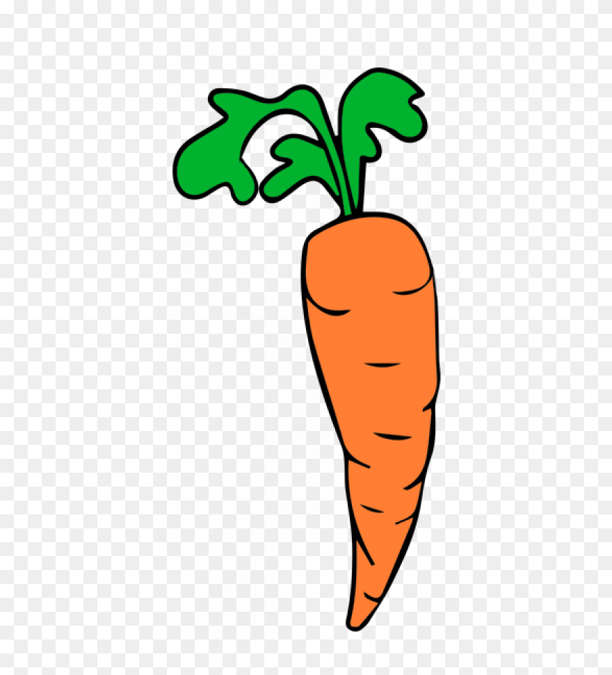 Carrot Pictures Free Clipart Vector Freeuse Carrot - Free Clip Art Carrot - Png Download