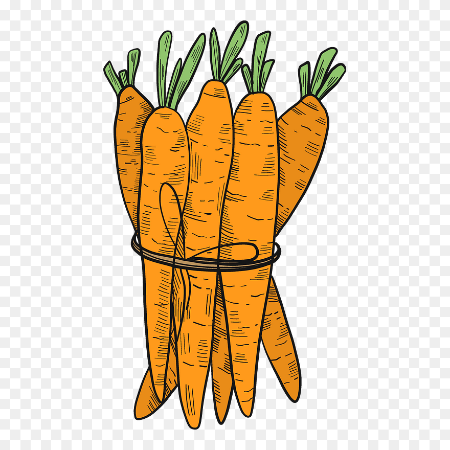Carrots Clipart - Png Download (#5243950) - PinClipart