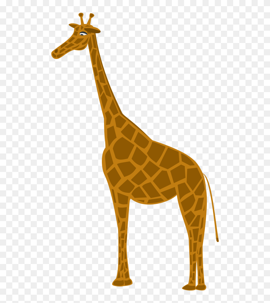 Giraffa Clip Art - Giraffe - Png Download