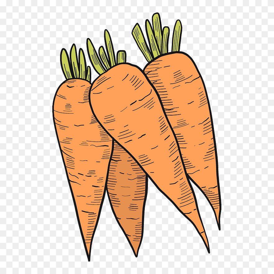 Carrots Clipart - Carrot - Png Download
