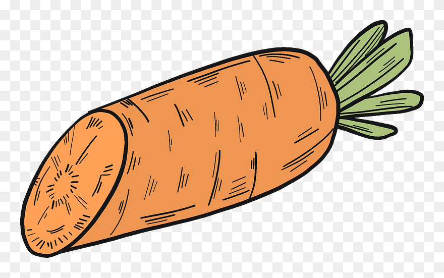 Carrot Clipart